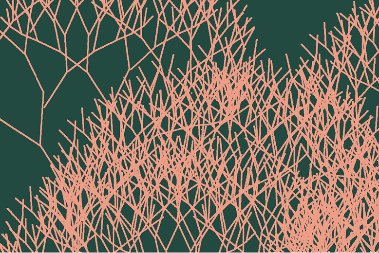 Chalk's Spring Fling